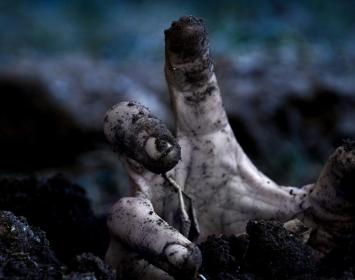 Favores Mortales de Ultratumba