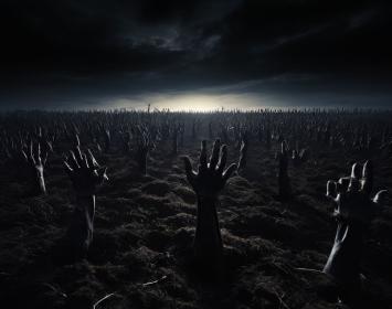 El Bosque de las Sombras